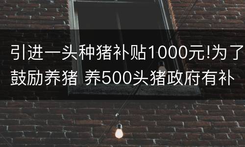 引进一头种猪补贴1000元!为了鼓励养猪 养500头猪政府有补贴吗