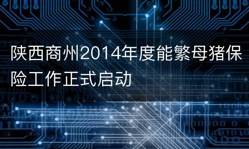 陕西商州2014年度能繁母猪保险工作正式启动