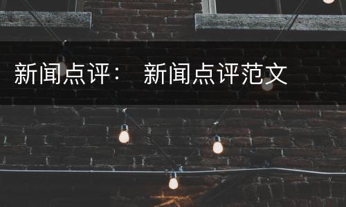新闻点评： 新闻点评范文