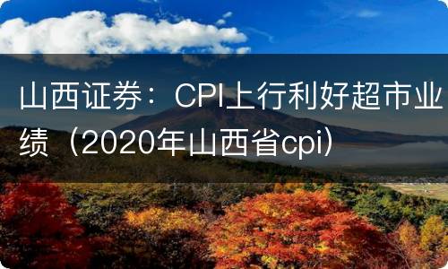 山西证券：CPI上行利好超市业绩（2020年山西省cpi）
