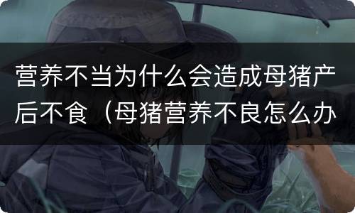 营养不当为什么会造成母猪产后不食（母猪营养不良怎么办）