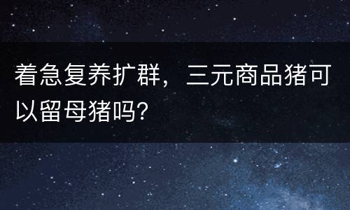 着急复养扩群，三元商品猪可以留母猪吗？