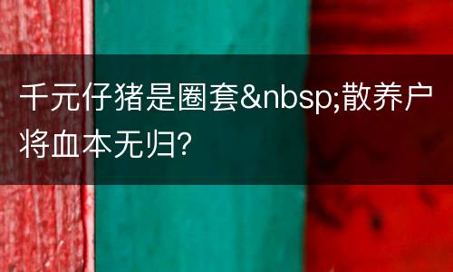 千元仔猪是圈套&nbsp;散养户将血本无归？