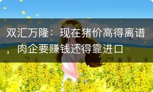 双汇万隆：现在猪价高得离谱，肉企要赚钱还得靠进口