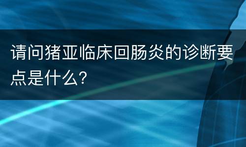 请问猪亚临床回肠炎的诊断要点是什么？