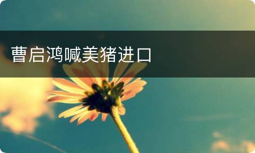 曹启鸿喊美猪进口