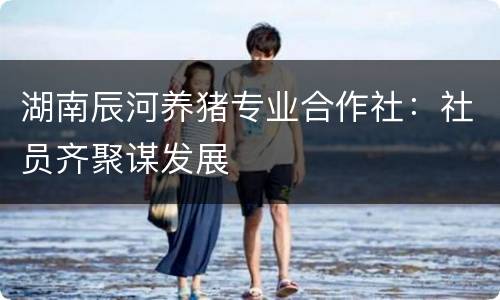 湖南辰河养猪专业合作社：社员齐聚谋发展