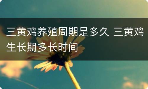 三黄鸡养殖周期是多久 三黄鸡生长期多长时间