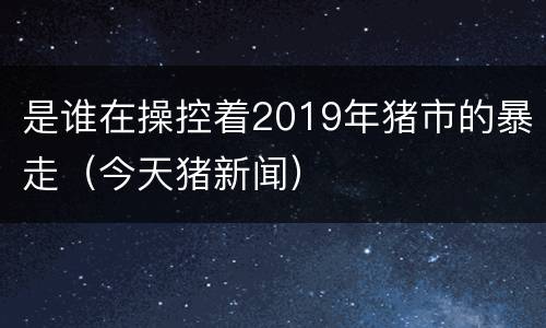 是谁在操控着2019年猪市的暴走（今天猪新闻）