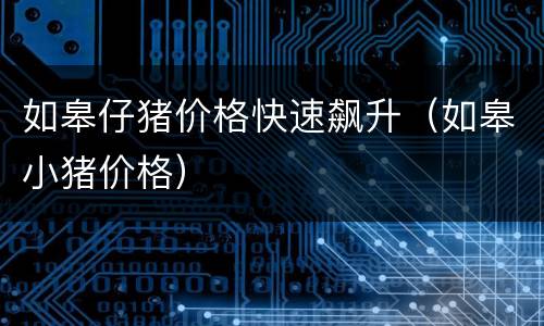 如皋仔猪价格快速飙升（如皋小猪价格）