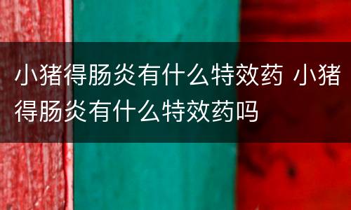 小猪得肠炎有什么特效药 小猪得肠炎有什么特效药吗