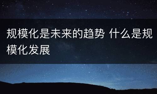 规模化是未来的趋势 什么是规模化发展