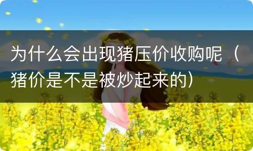 为什么会出现猪压价收购呢（猪价是不是被炒起来的）