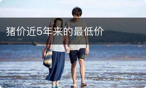 猪价近5年来的最低价