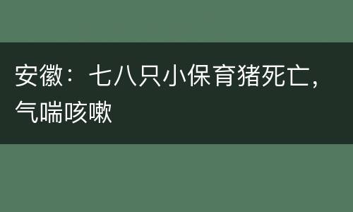 安徽：七八只小保育猪死亡，气喘咳嗽