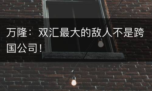 万隆：双汇最大的敌人不是跨国公司！