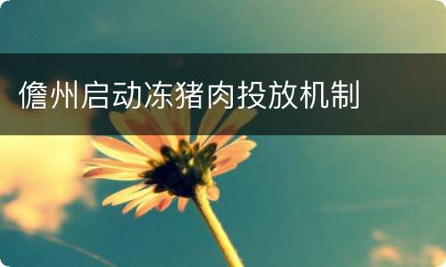 儋州启动冻猪肉投放机制