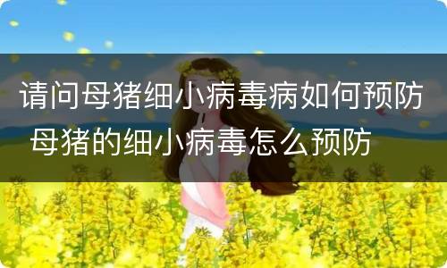 请问母猪细小病毒病如何预防 母猪的细小病毒怎么预防