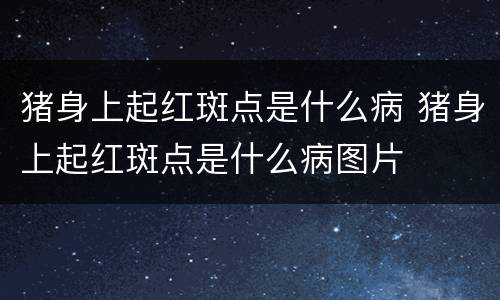 猪身上起红斑点是什么病 猪身上起红斑点是什么病图片