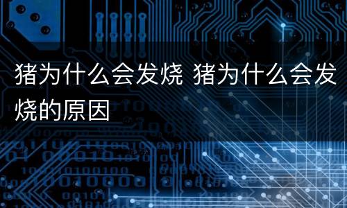 猪为什么会发烧 猪为什么会发烧的原因