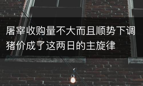 屠宰收购量不大而且顺势下调猪价成了这两日的主旋律