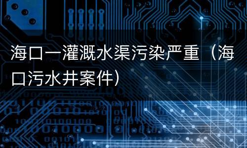 海口一灌溉水渠污染严重（海口污水井案件）