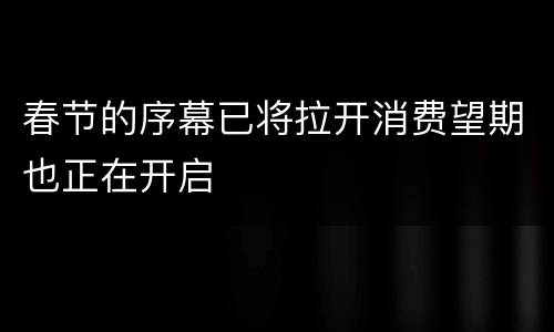 春节的序幕已将拉开消费望期也正在开启