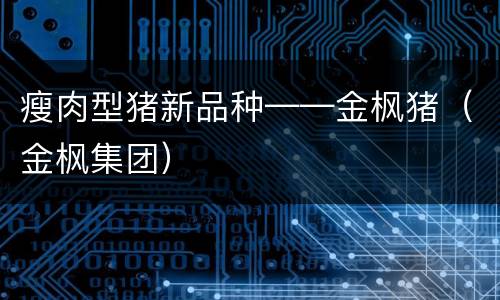 瘦肉型猪新品种——金枫猪（金枫集团）