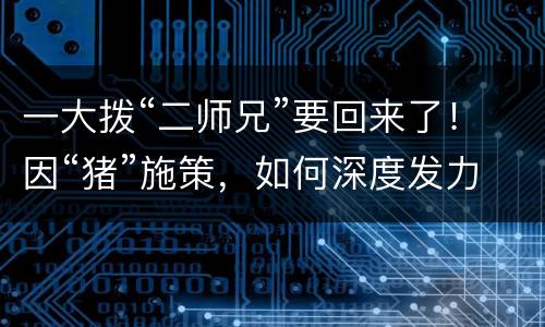 一大拨“二师兄”要回来了！因“猪”施策，如何深度发力？