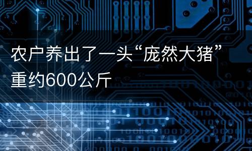 农户养出了一头“庞然大猪”重约600公斤
