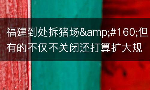 福建到处拆猪场 但有的不仅不关闭还打算扩大规模