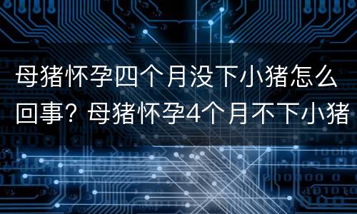 母猪怀孕四个月没下小猪怎么回事? 母猪怀孕4个月不下小猪是什么原因