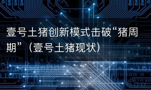 壹号土猪创新模式击破“猪周期”（壹号土猪现状）