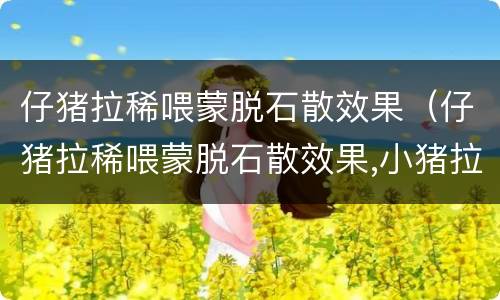 仔猪拉稀喂蒙脱石散效果（仔猪拉稀喂蒙脱石散效果,小猪拉稀最简单的方法!）