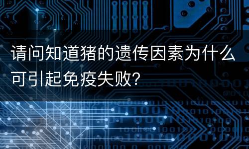 请问知道猪的遗传因素为什么可引起免疫失败？