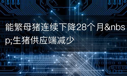 能繁母猪连续下降28个月&nbsp;生猪供应端减少