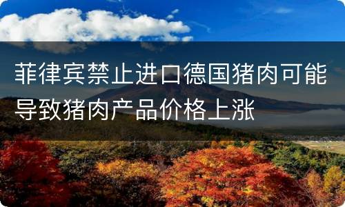 菲律宾禁止进口德国猪肉可能导致猪肉产品价格上涨