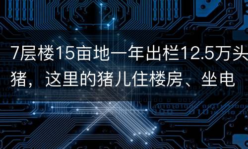 7层楼15亩地一年出栏12.5万头猪，这里的猪儿住楼房、坐电梯