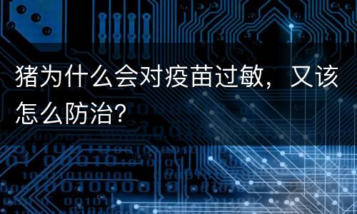 猪为什么会对疫苗过敏，又该怎么防治？