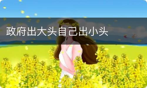 政府出大头自己出小头