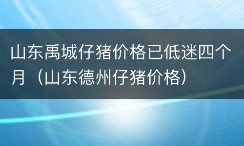 山东禹城仔猪价格已低迷四个月（山东德州仔猪价格）