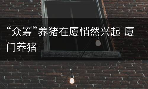 “众筹”养猪在厦悄然兴起 厦门养猪