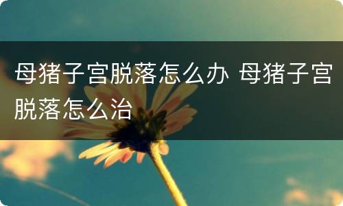 母猪子宫脱落怎么办 母猪子宫脱落怎么治