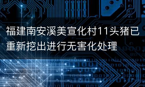 福建南安溪美宣化村11头猪已重新挖出进行无害化处理