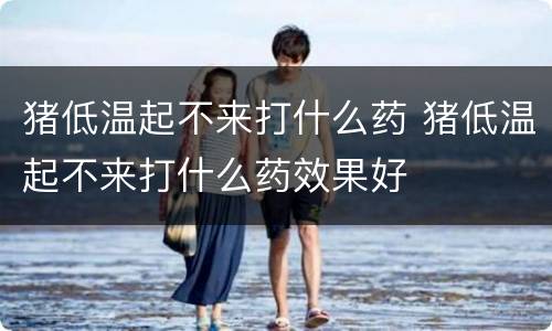 猪低温起不来打什么药 猪低温起不来打什么药效果好