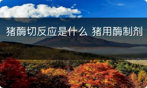 猪酶切反应是什么 猪用酶制剂