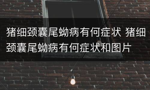 猪细颈囊尾蚴病有何症状 猪细颈囊尾蚴病有何症状和图片