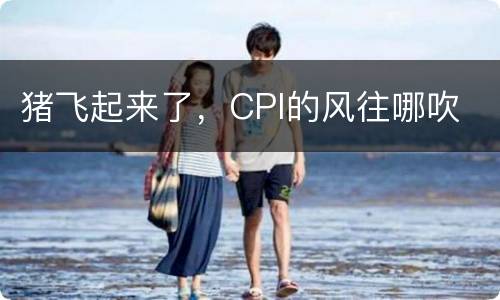 猪飞起来了，CPI的风往哪吹