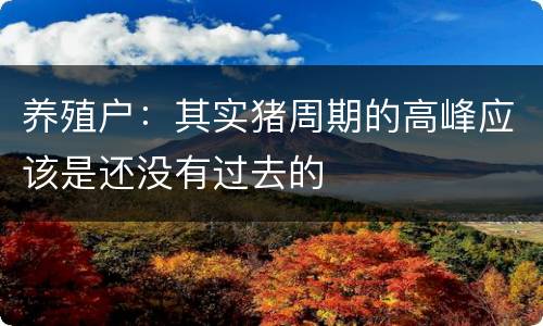 养殖户：其实猪周期的高峰应该是还没有过去的