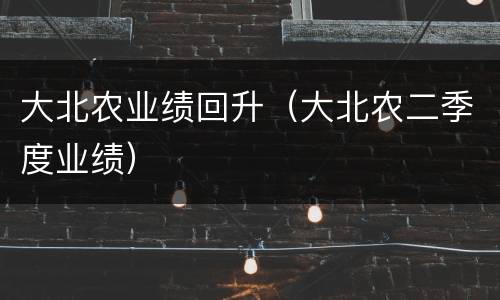 大北农业绩回升（大北农二季度业绩）
